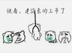 踢飞表情包货代