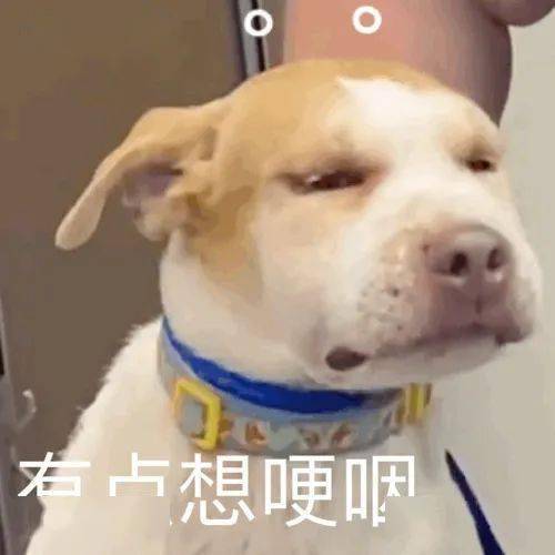 乱七八糟的表情包,我可太喜欢了