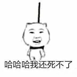 中国外交部又又又又火了