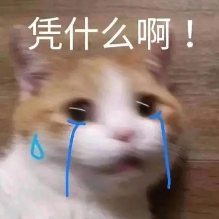 热烈欢迎表情包莅临