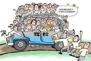 学车遭遇排行榜,你中了几条
