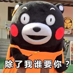 一组520专用表情包