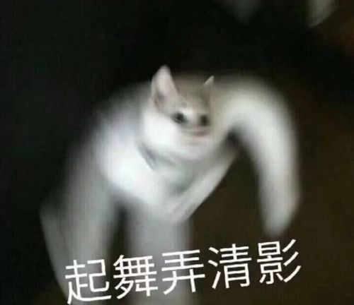 可爱至极的谐音文案