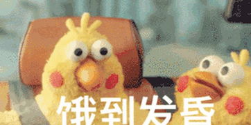 网红鸭子表情包动图有用功