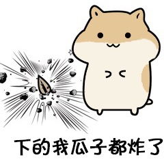 以后我罩你可爱表情包吓得我瓜子都飞了小仓鼠表情包下载乐游网游戏下载