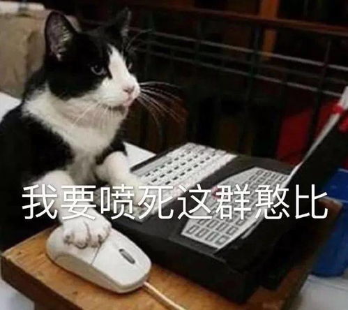 今日份热门表情你又不跟我睡管我几点睡