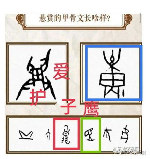 我破甲骨文系列15国家悬赏求破解的甲骨文