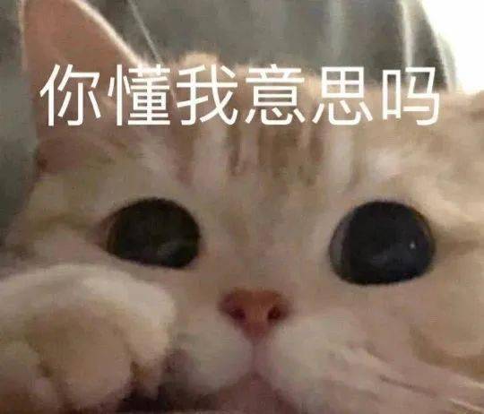 e句话看天下丨绿巨人调侃美国队长太好玩了