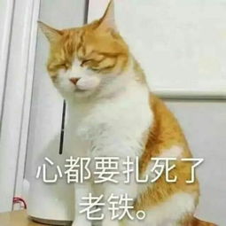 广州人挺住熬过了这个月,除了放假还有这5个好消息