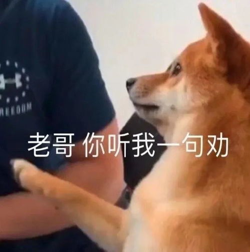 表情包你看我可爱吗