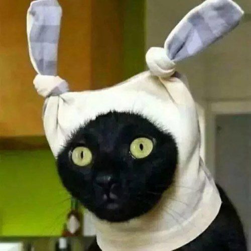 这就是事实
