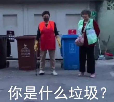 微信官方排行榜2019最火表情包是这些进来收图啦