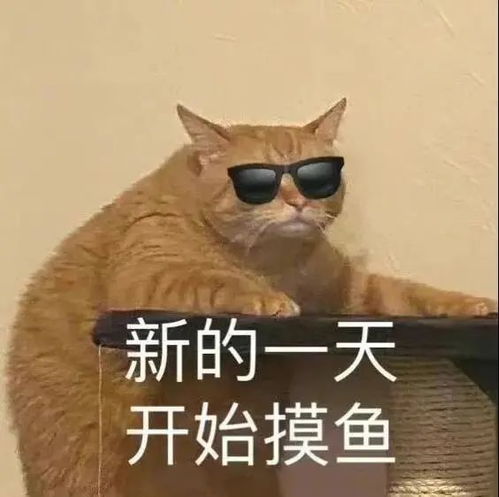丑东西,走开走开第209期喵表情
