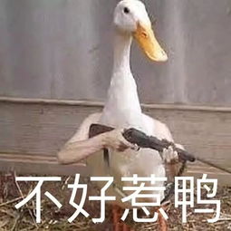 蛋是鸡生的,鸡是谁生的猜出来算我输