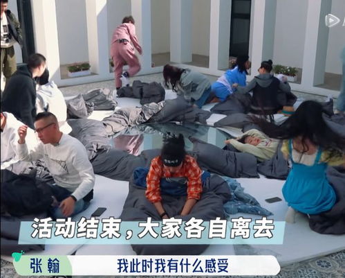 桃花坞村长的行为艺术被吐槽张翰这番话成熟又绅士