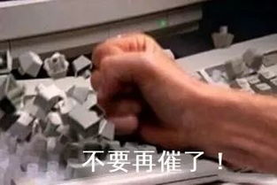 吐血整理记者专用表情包来啦
