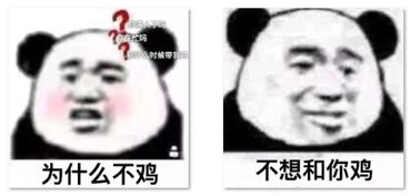 鸡你不你不想熊猫头表情包大全