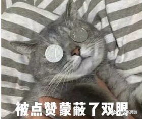 快来小新邀你参观南宁地下世界