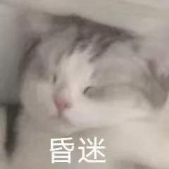 我这么可爱别人捡到是不会还你的图片想知道男朋友在干嘛又不想表情太明显表情包下载乐游网游戏下载