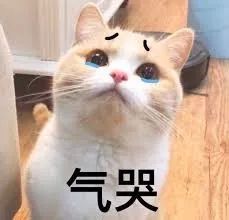 我花了350块,终于搞明白了某宝50块logo背后的套路