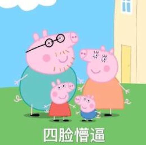 零失败阿胶膏制作方法,图文并茂一目了然
