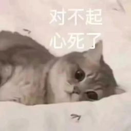 可爱小动物表情包,泡妞专用