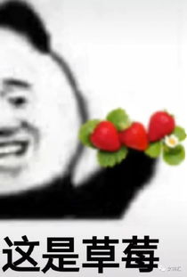 在朋友圈发了张表情包,没想到别人的女朋友却找上门