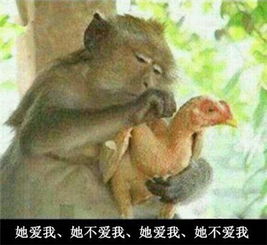 秘搞笑图片,拿着手机居然笑喷了
