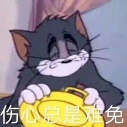 微信搞笑表情包关关雎鸠,在河之洲,八荒富婆,加我qq