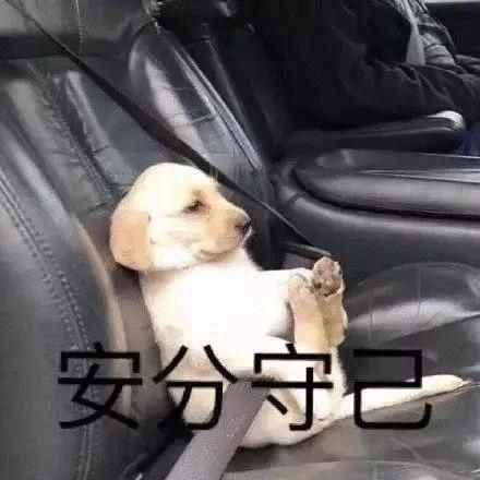 气垫适合囤多几个吗
