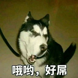 男朋友几乎每天都因为小事和我吵架,凶我推我吼我我每次都哭,而且很难受,眼睛哭多也特别难受,他该这样么