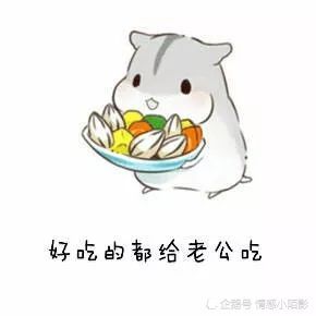 仓鼠表情包我爱老公