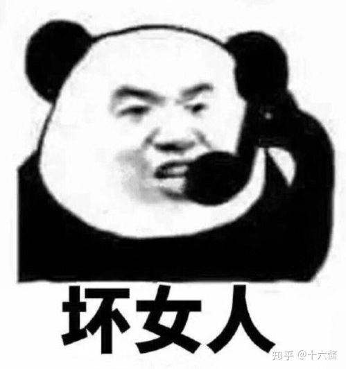 发现一个有趣的现象,有没有哪些表情包互答毫无违和感,类似这种哈哈哈