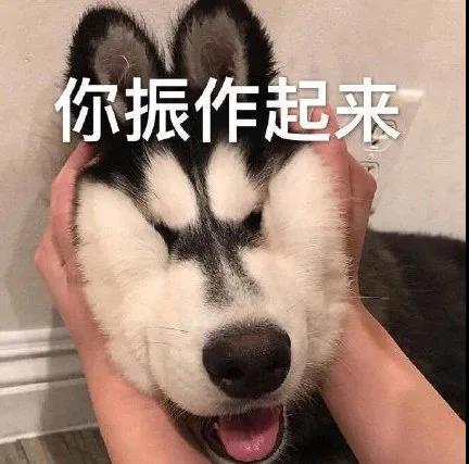 狗狗发抖的表情包发抖