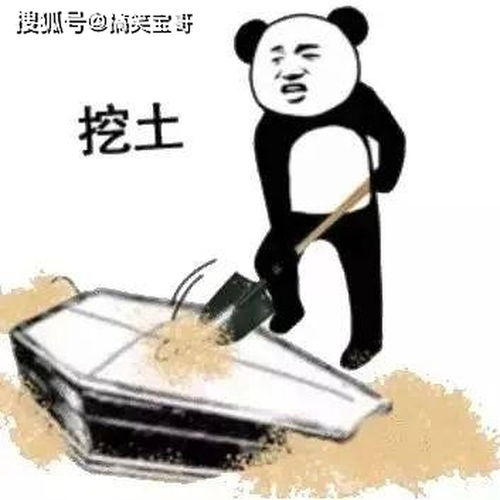 本宫乏了表情包自首