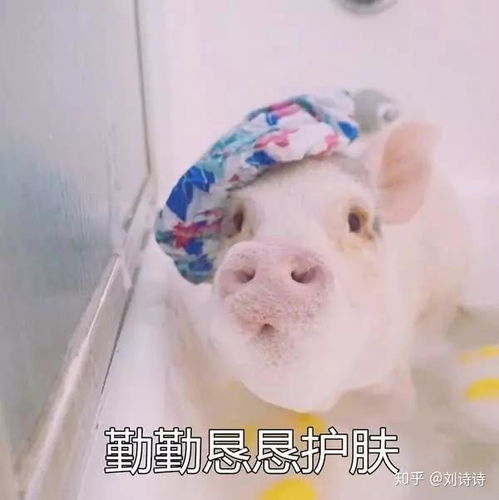 口碑最好的身体乳推荐,美白身体乳哪个好用效果好李佳琦推荐的美白身体乳推荐