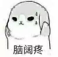 求这个表情包的猫叫啥