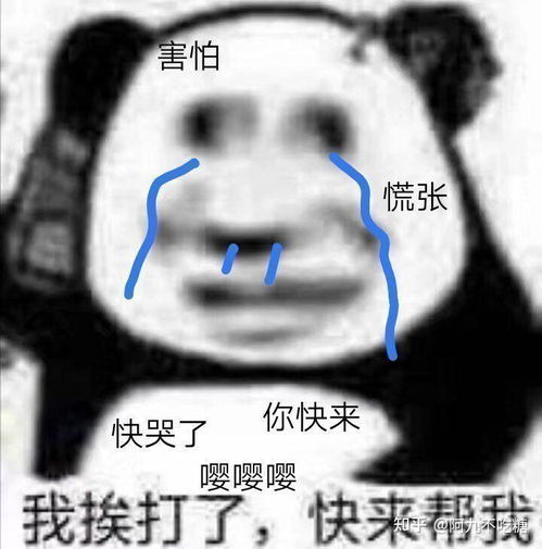 你第一次上王者是一种什么感受