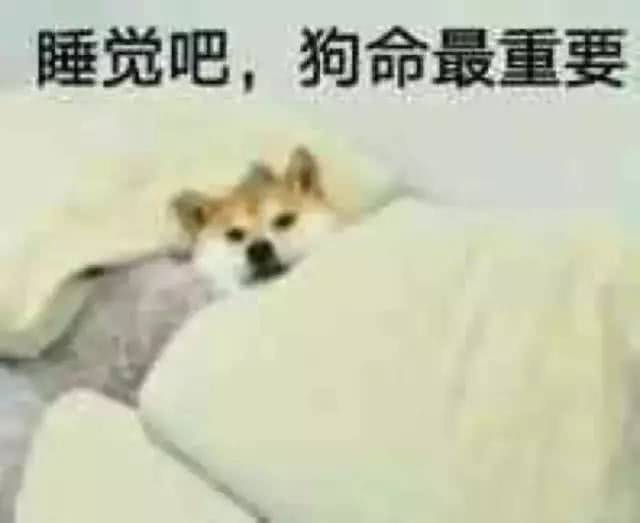笑话十条拉粑粑,拉妈妈,拉舅舅,拉拉拉拉拉