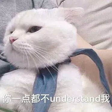 总觉得我会分分钟暴富