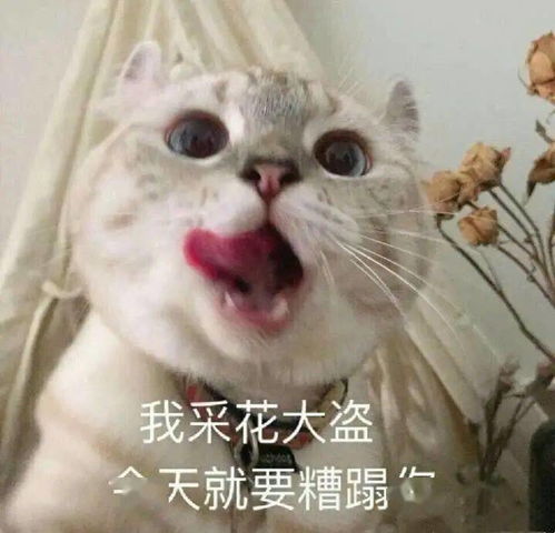 延时居然这么简单日本小电影男优都在用