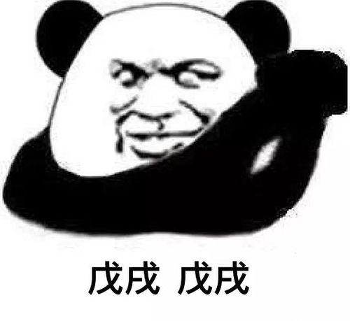 西寺的相册表情包储存中心