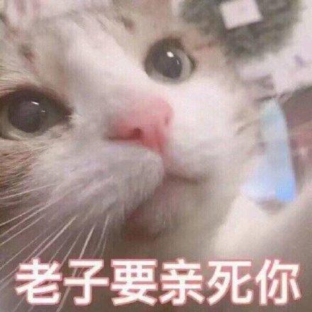 撩汉表情包我心爱的狗东西在吗