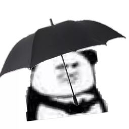 北京太热热热热热幸好周末有雨...还有中考分数也出炉啦