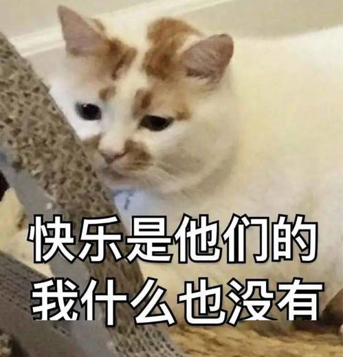 两只红心满技能死骑都只配做卡速少侠你的良心就不会痛吗