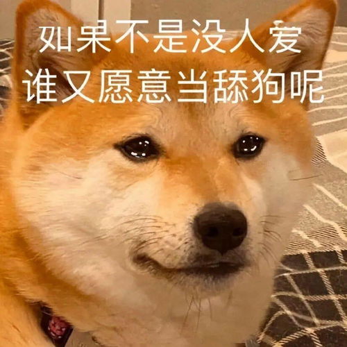 热门表情包表情包动图大全