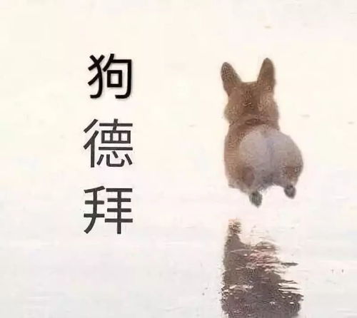 春熙路空降潮玩街,双十一在这儿边买边耍