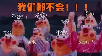 德云色西卡与女友同游迪士尼颜值爆表惊呆粉丝