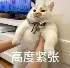 记住2个原则华西专家教你选对枕头,睡个好觉