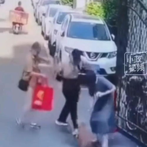 可怕阿姨小区遛狗,小狗被路过老人连砍数刀老人随身带长刀